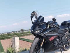 CFMOTO 250SR - ფოტო 1