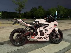 Kayo 450RR - ფოტო 3