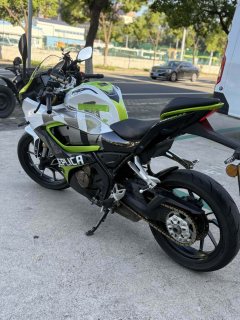 QJMOTOR SRK 250 - photo 5