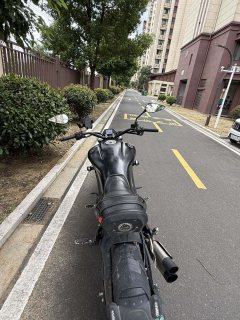 Benelli 502C 500 cc - ფოტო 6
