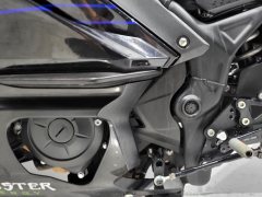 Yamaha YZF-R3 320 cc - ფოტო 6
