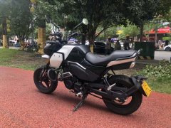 CFMOTO Papio XO-1 125 cc - фото 6