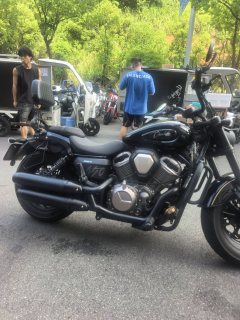 Benda Chinchilla 450 - photo 2