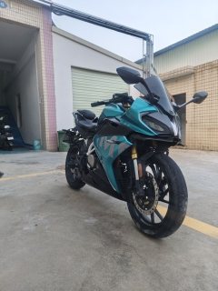 CFMOTO 250SR - ფოტო 2
