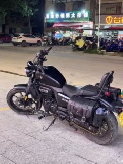 Cyclone RA250 - ფოტო 2