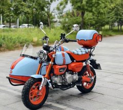 Stoner Monkey 125 Sidecar - photo 3