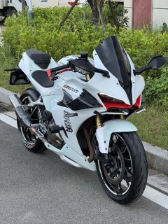 QJMOTOR Sai 450 - ფოტო 2