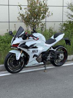 QJMOTOR Sai 450 - ფოტო 5