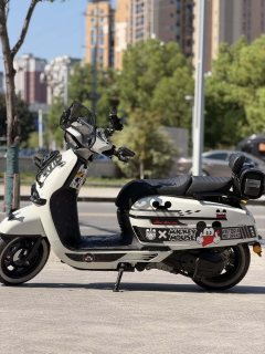 Weiduoliya Sixties 150Si - ფოტო 2
