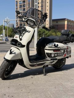 Weiduoliya Sixties 150Si - ფოტო 3