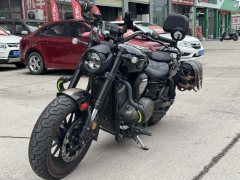 Benda Chinchilla 500 - photo 7