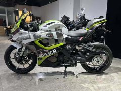 QJMOTOR SRK 250 - ფოტო 5