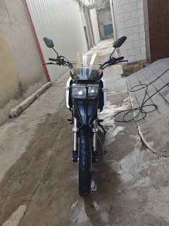 SHINERAY X-TRAIL(Xunlong) 250 cc - ფოტო 2
