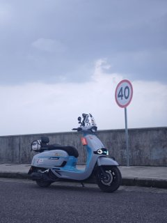 Weiduoliya Sixties 150Si - ფოტო 3