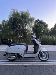 Weiduoliya Sixties 150Si - ფოტო 1