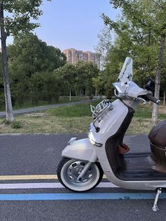 Weiduoliya Sixties 150Si - ფოტო 2