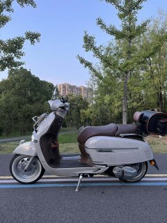 Weiduoliya Sixties 150Si - ფოტო 3