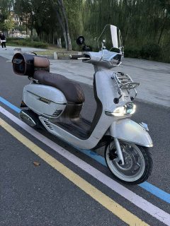 Weiduoliya Sixties 150Si - ფოტო 4