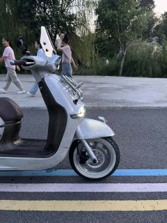 Weiduoliya Sixties 150Si - ფოტო 7