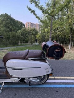 Weiduoliya Sixties 150Si - ფოტო 8