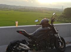 Benelli 502C 500 cc - ფოტო 3