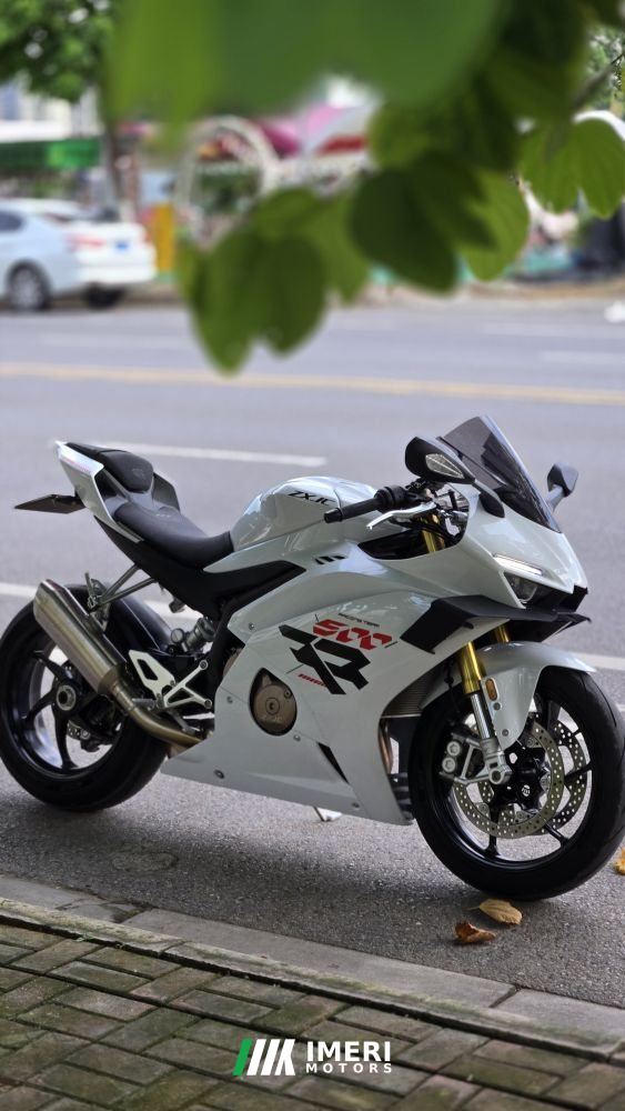 2025 Zhangxue Motorcycles 500RR
