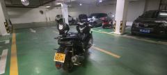 Cyclone RT250 - ფოტო 4