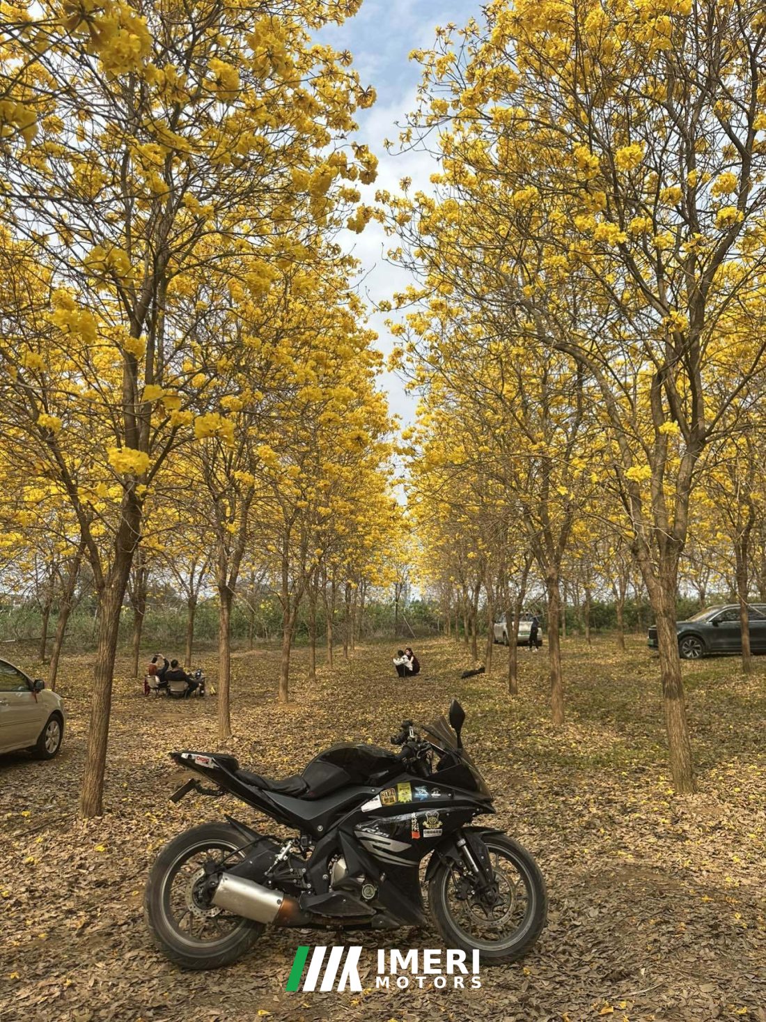 Feiying R25 250 cc - მოტოციკლი ჩინეთიდან