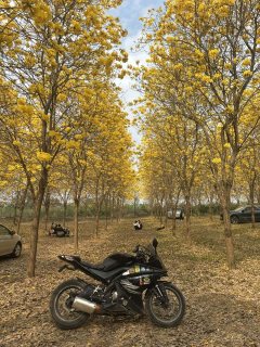 Feiying R25 250 cc - ფოტო 1