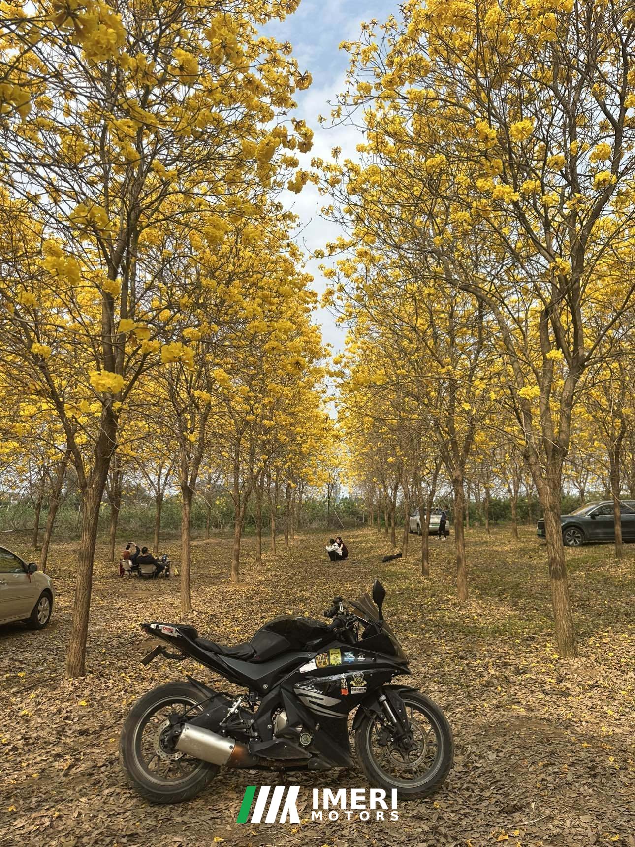 2019 Feiying R25 250 cc
