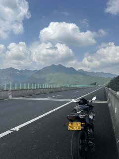 Feiying R25 250 cc - ფოტო 5