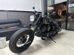 Zeths V250 Edition - ფოტო 9