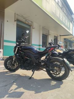 Benelli 502C 500 cc - ფოტო 1