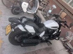 Benda Chinchilla 350 - photo 2