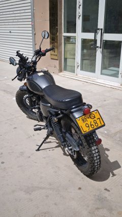 Qingqi U-Knight Bigfoot Crawler 250 cc - фото 4