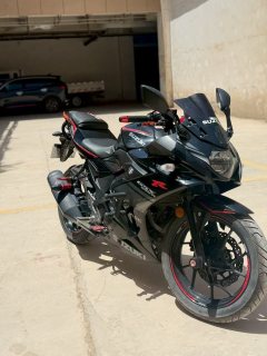 Haojue Suzuki GSX250R - ფოტო 2