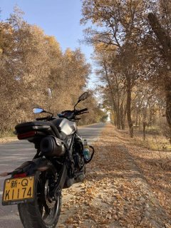 Voge 350AC 320 cc - ფოტო 12
