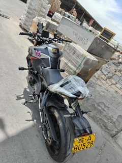 QJMOTOR 600 - photo 5