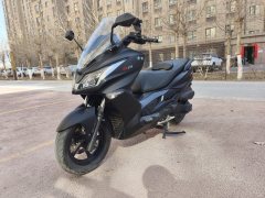 Riya 250 - ფოტო 1
