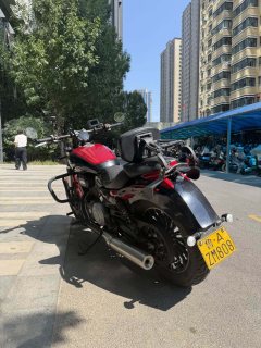 Benda Polestones 03 Gray 300 cc - photo 4