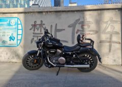 Benda Polestones 03 Gray 300 cc - ფოტო 2