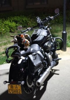Benda Polestones 03 Gray 300 cc - ფოტო 5