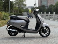 Sundiro Honda NS125LA - ფოტო 8