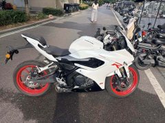 QJMOTOR SRK 250 - photo 3
