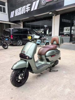 Weiduoliya Sixties 150Si - ფოტო 2
