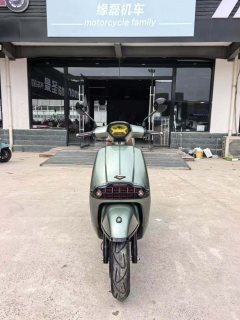 Weiduoliya Sixties 150Si - ფოტო 3