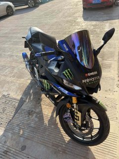 Yamaha YZF-R3 320 cc - ფოტო 1