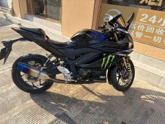Yamaha YZF-R3 320 cc - ფოტო 5
