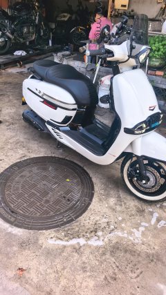 Weiduoliya Sixties 150Si - ფოტო 2