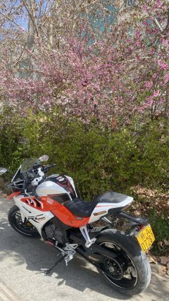 Cyclone RC250 - ფოტო 1